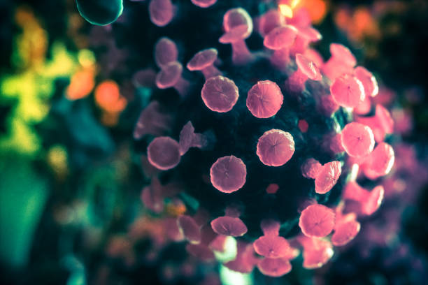 coronavirus india - coronavirus covid 19 sars